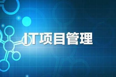 项目型IT公司怎么干才不会死
