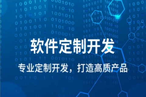  和谐万维软件可以进行二次或定制开发吗